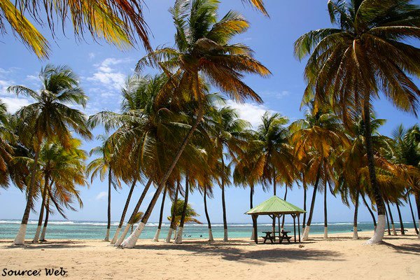 La Desirade  The Islands of Guadeloupe