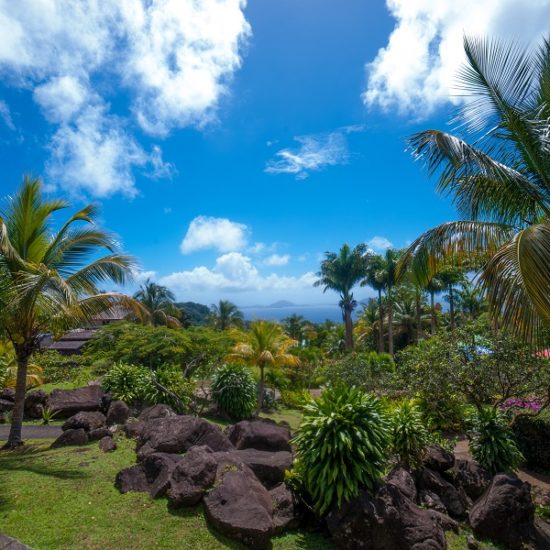 Le Jardin Malanga - Guadeloupe Islands